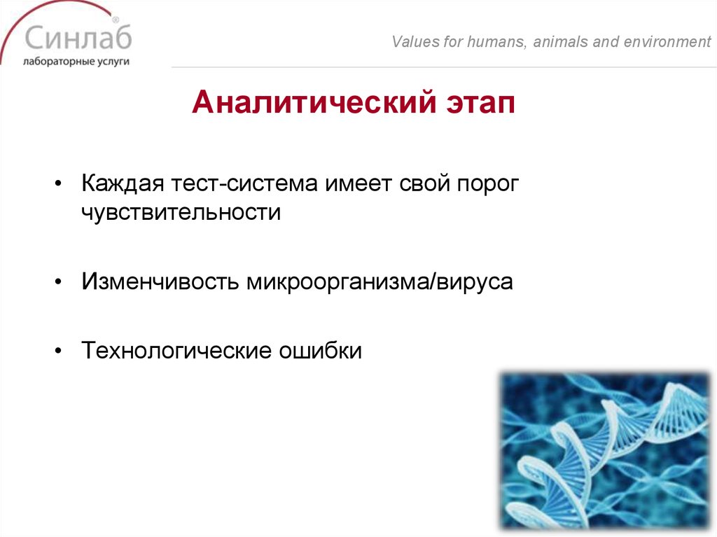 Аналитический этап