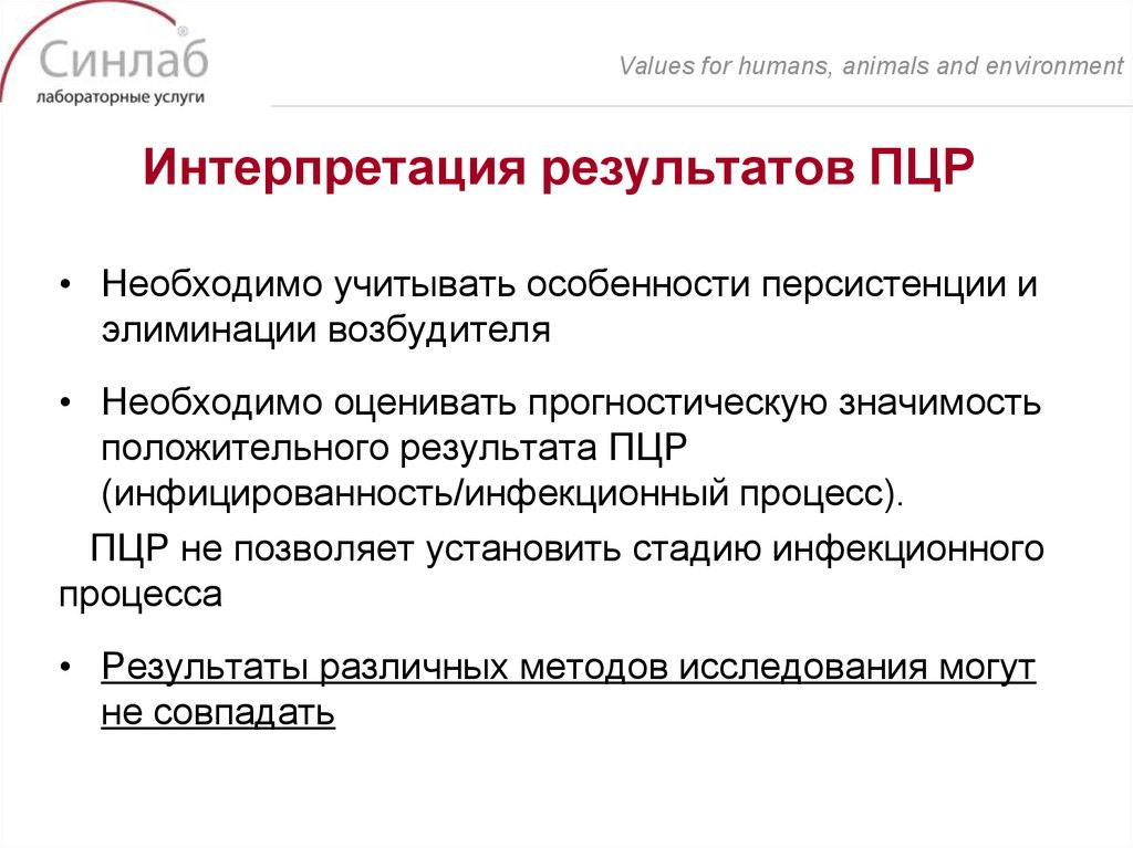 Интерпретация результатов ПЦР