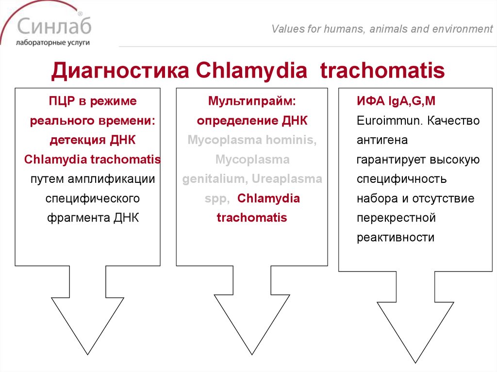 Диагностика Chlamydia trachomatis