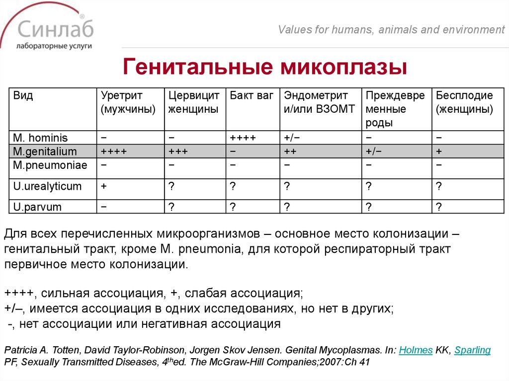 Генитальные микоплазы