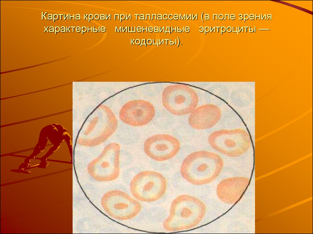 В проведенном опыте результаты которого изображены на рисунке эритроциты поместили