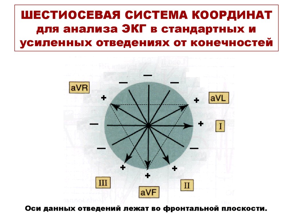 Ось данных. Шестиосевая система Бейли. Шестиосевая система Бейли ЭКГ. Система координат Бейли. Шестиосевая система координат ЭКГ.