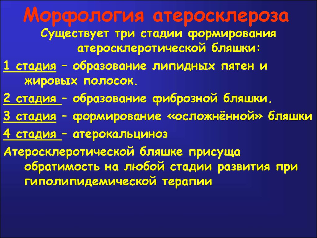 Атеросклероз 1 степени. Стадии атеросклеротических бляшек морфология. Стадии образования атеросклероза. Фазы формирования атеросклеротической бляшки. Атеросклероз степень и стадия развития.