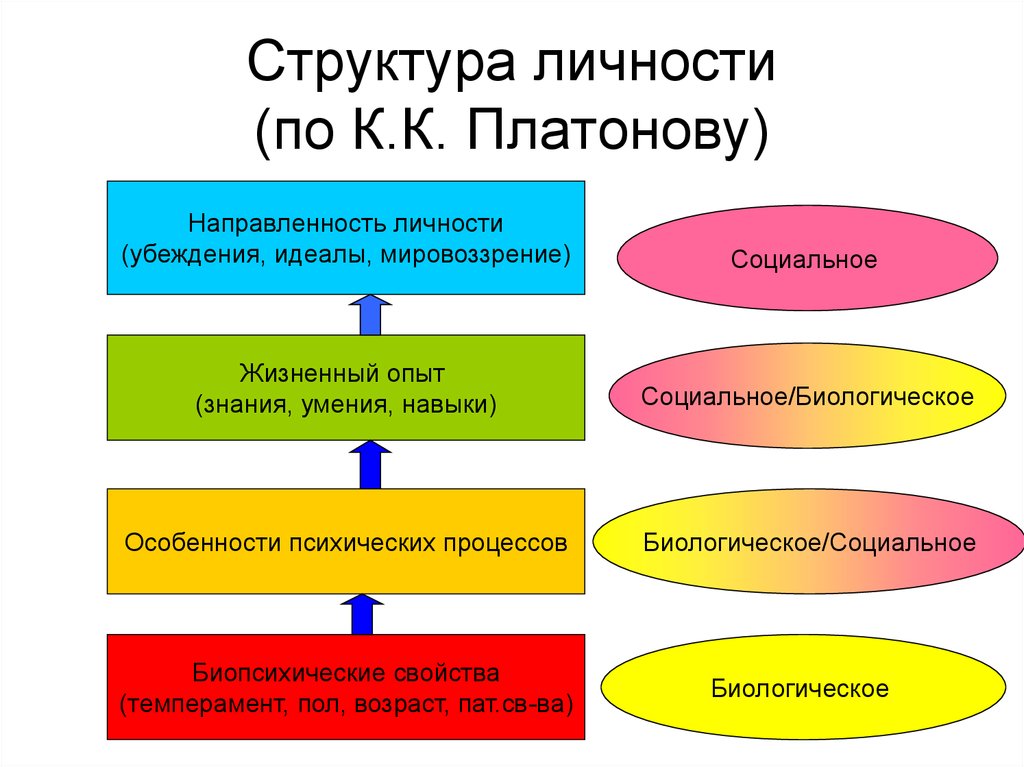 Структура личности (по К.К. Платонову)