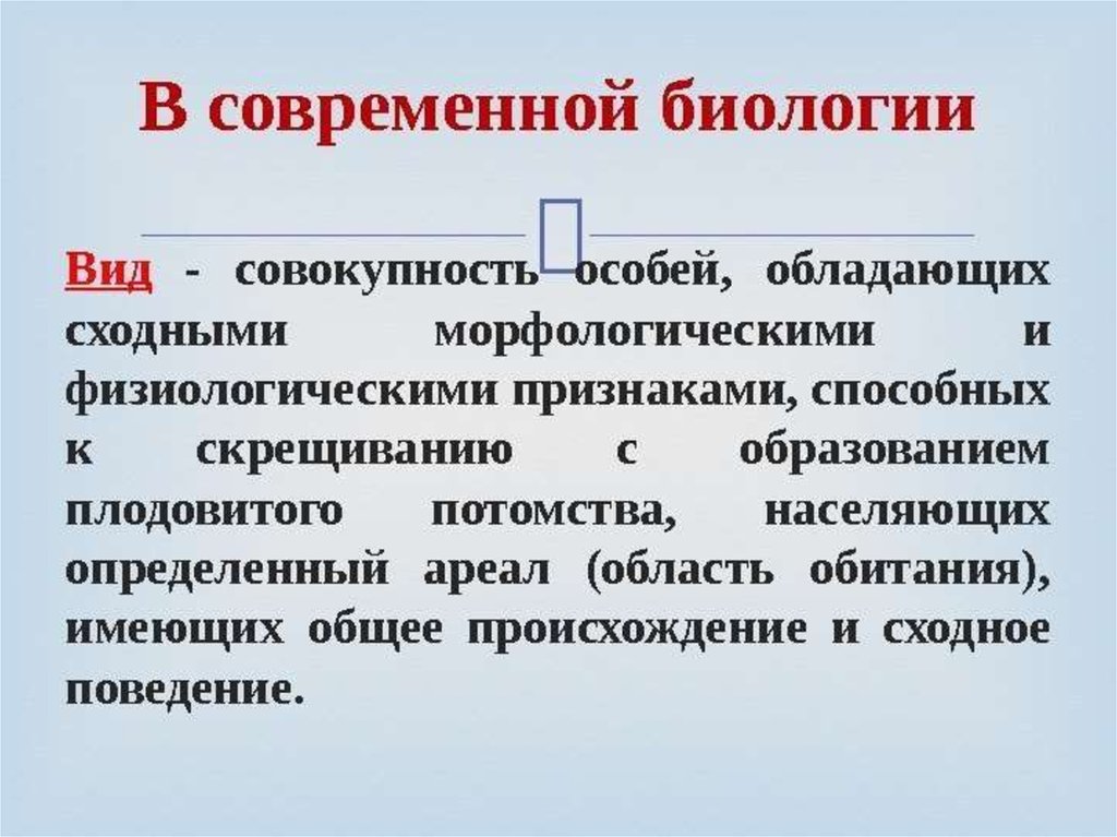 Совокупность особых. Вид определение биология. Вид это в биологии. Понятие вид в биологии. Вид это совокупность особей.