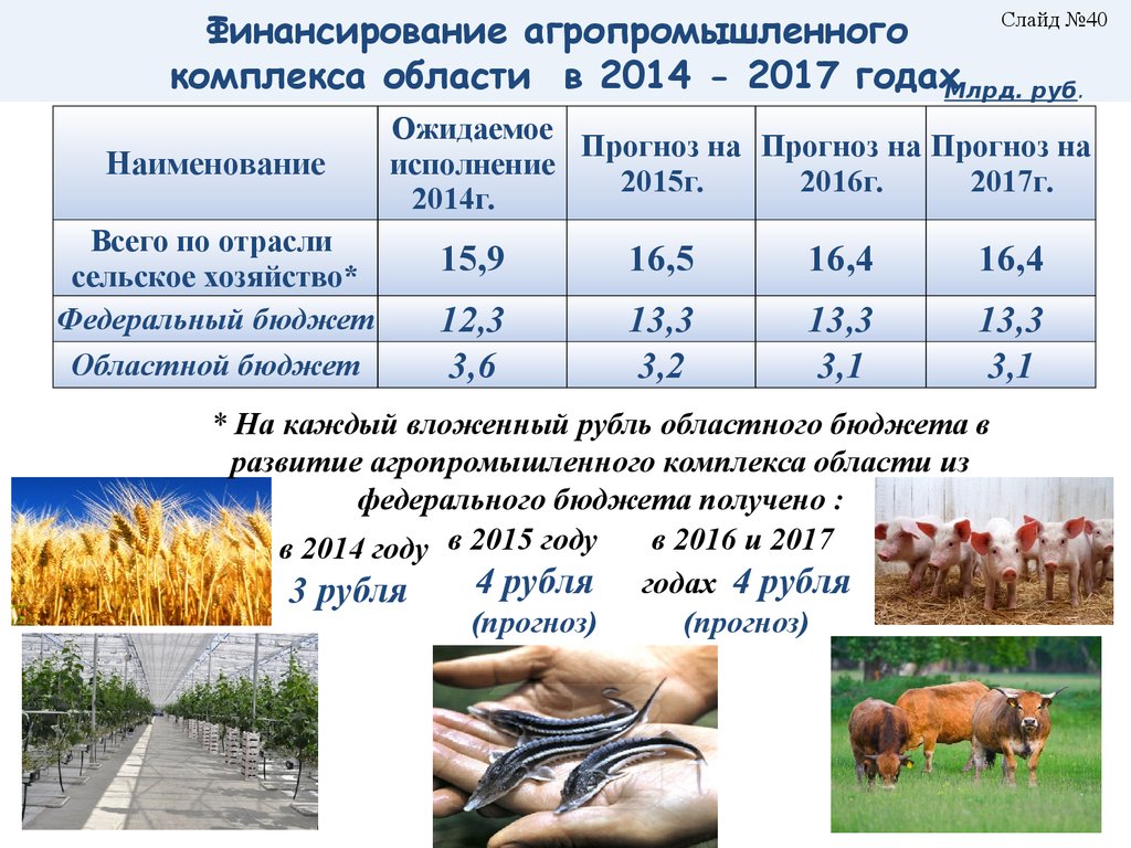 Хозяйства белгородская область. Агропромышленный АПК Белгородская область. Отрасли хозяйства агропромышленного комплекса. Сельское хозяйство бюджет. Отрасли сельского хозяйства Белгородской области.