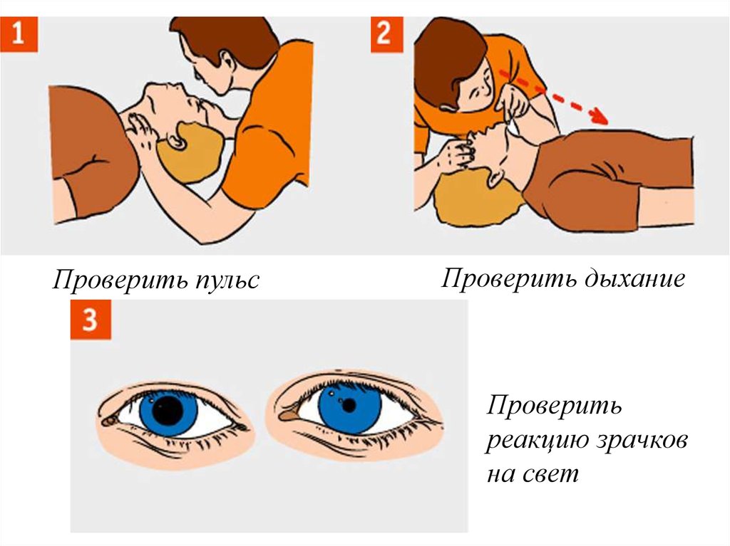 Ограниченные признаки жизни