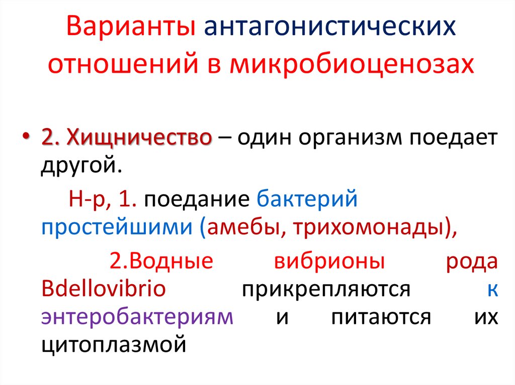 Микробиоценоз