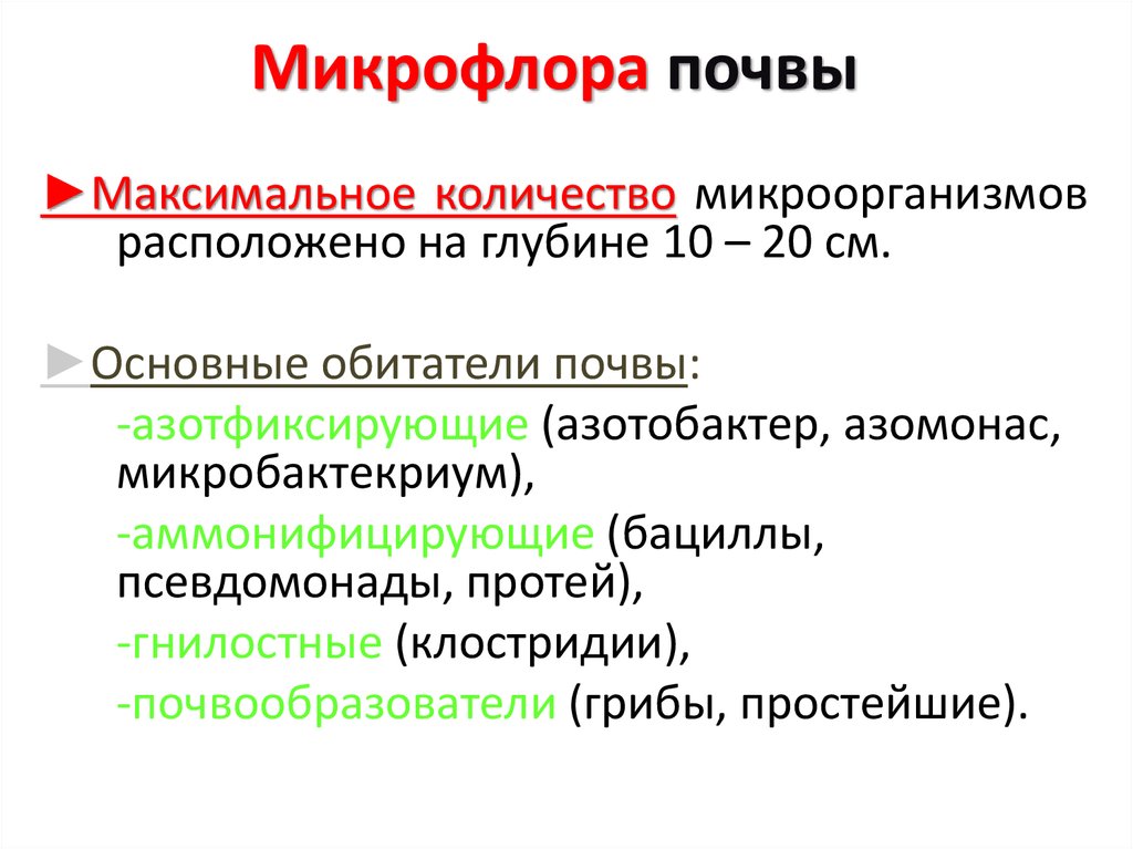 Микрофлора почвы микробиология. Каков состав микрофлоры почвы. Состав микрофлоры почвы кратко. Микрофлора почвы микробиология таблица.