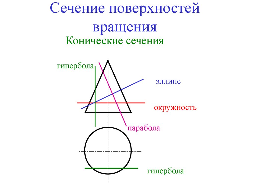 Какие фигуры получаются в сечении. Сечение конуса плоскостью эллипс. Сечение конической поверхности плоскостью. Сечение поверхности вращения плоскостью. Разрез поверхности вращения.