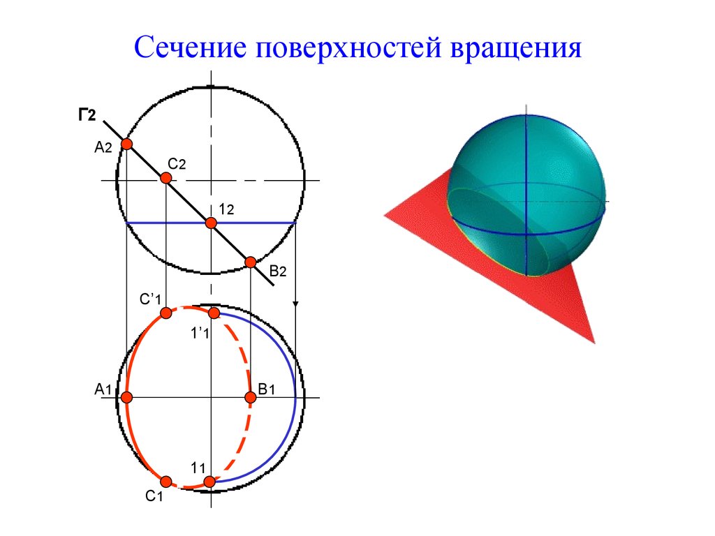 Сечения поверхности вращения плоскостью