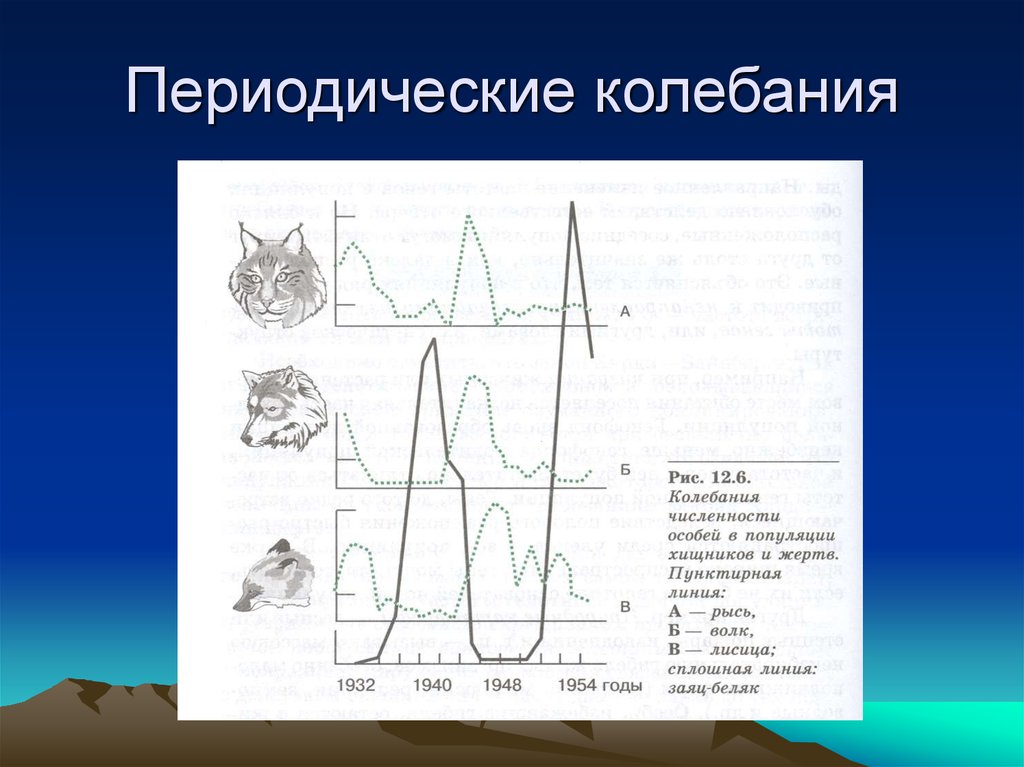 Колебания численности популяции презентация