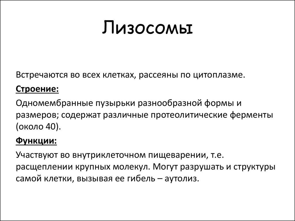 Роль лизосом. Лизосомы строение и функции кратко. Лизосомы функции кратко. Строение и выполняемые функции лизосомы. Лизосомы строение и функции таблица.