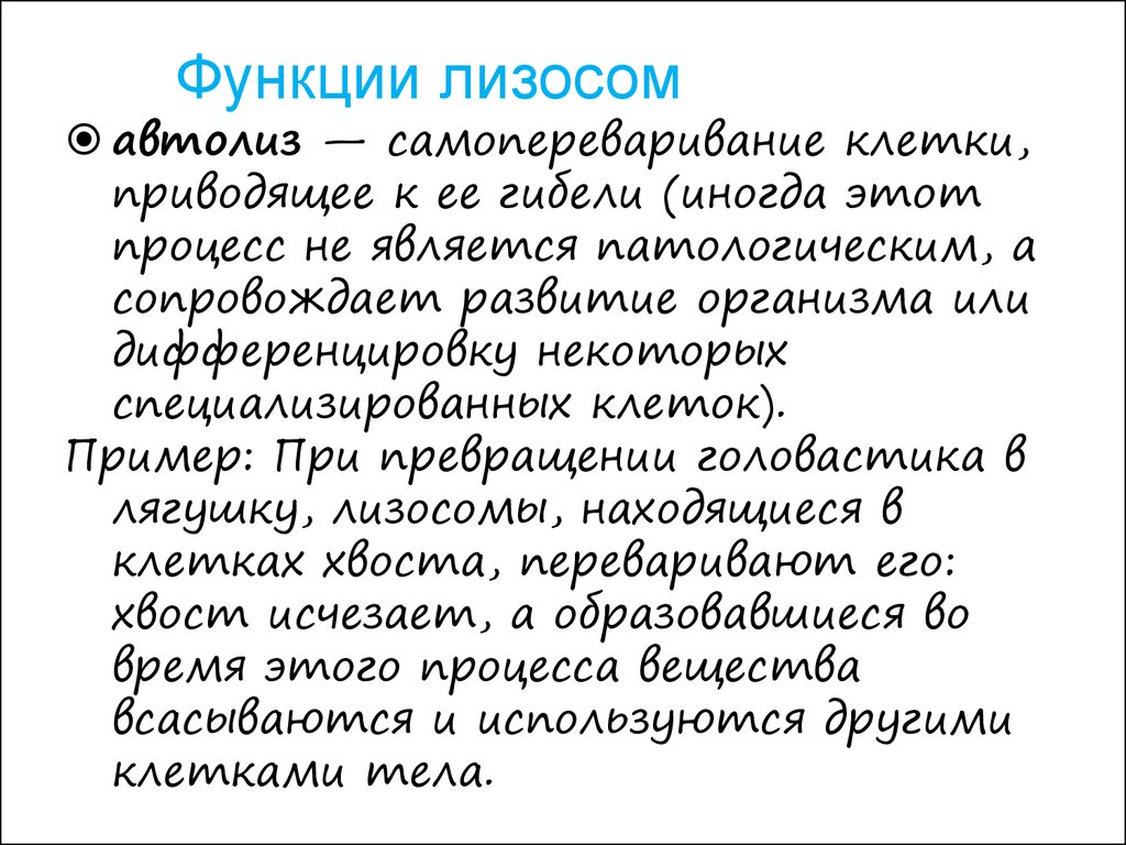 Автолиз клетки. Автолиз примеры. Самопереваривание клетки. Участвует в автолизе.