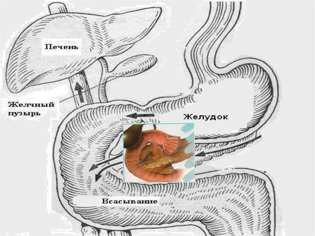 Торт радовал глаз и желудок