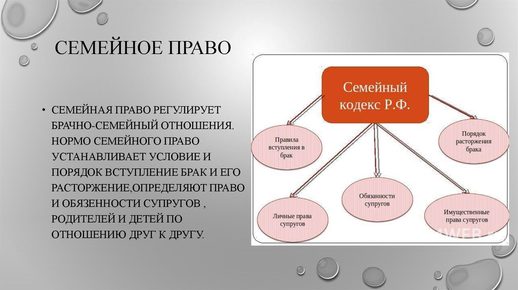 Что же регулирует семейное право