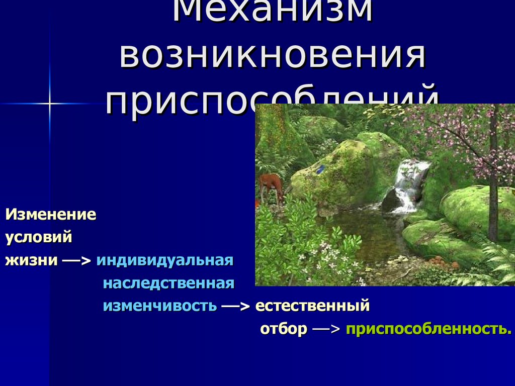 Изменение условий жизни. Механизм возникновения адаптаций. Механизм возникновения приспособлений. Приспособленность и естественный отбор. Механизм возникновения приспособленности схема.