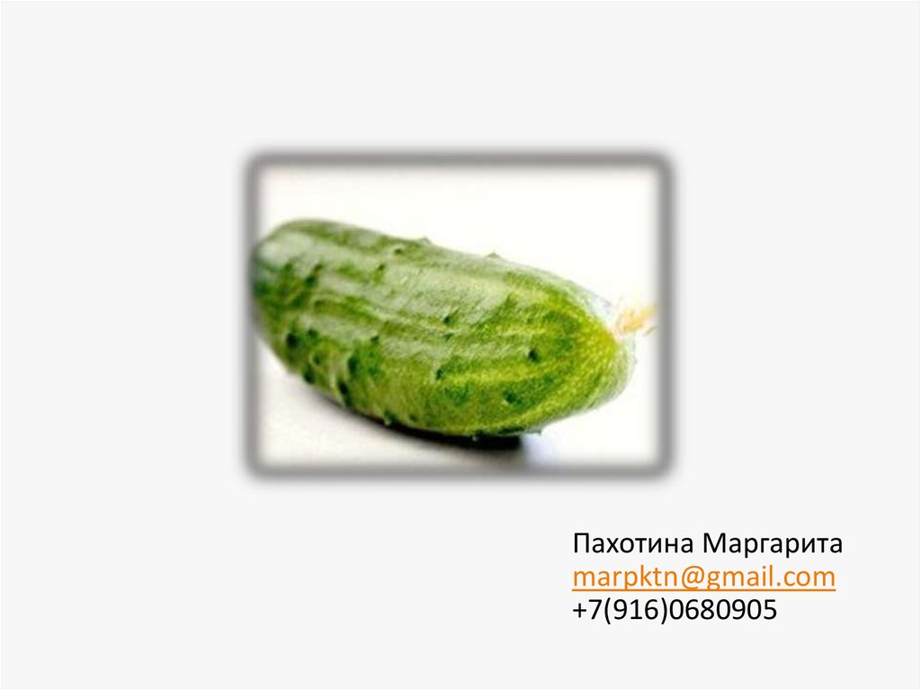 Пахотина Маргарита marpktn@gmail.com +7(916)0680905