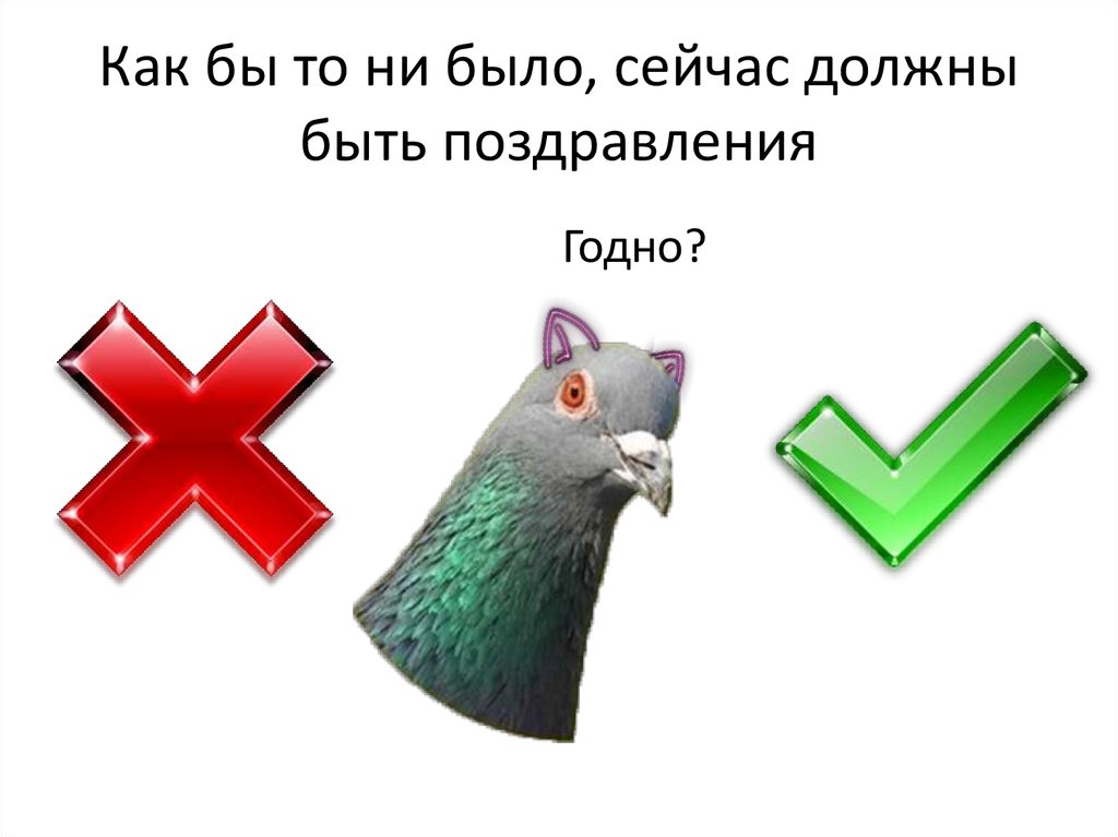 Как бы то ни было, сейчас должны быть поздравления