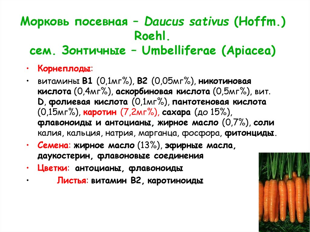 Морковь соль. Морковь посевная Dáucus satívus (Hoffm.) Roehl.. Формула растения морковь посевная. Формула моркови посевной. Морковь посевная строение.