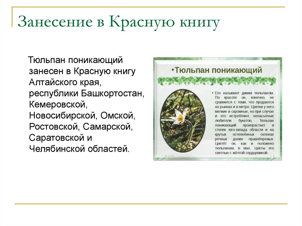 Занесение в Красную книгу