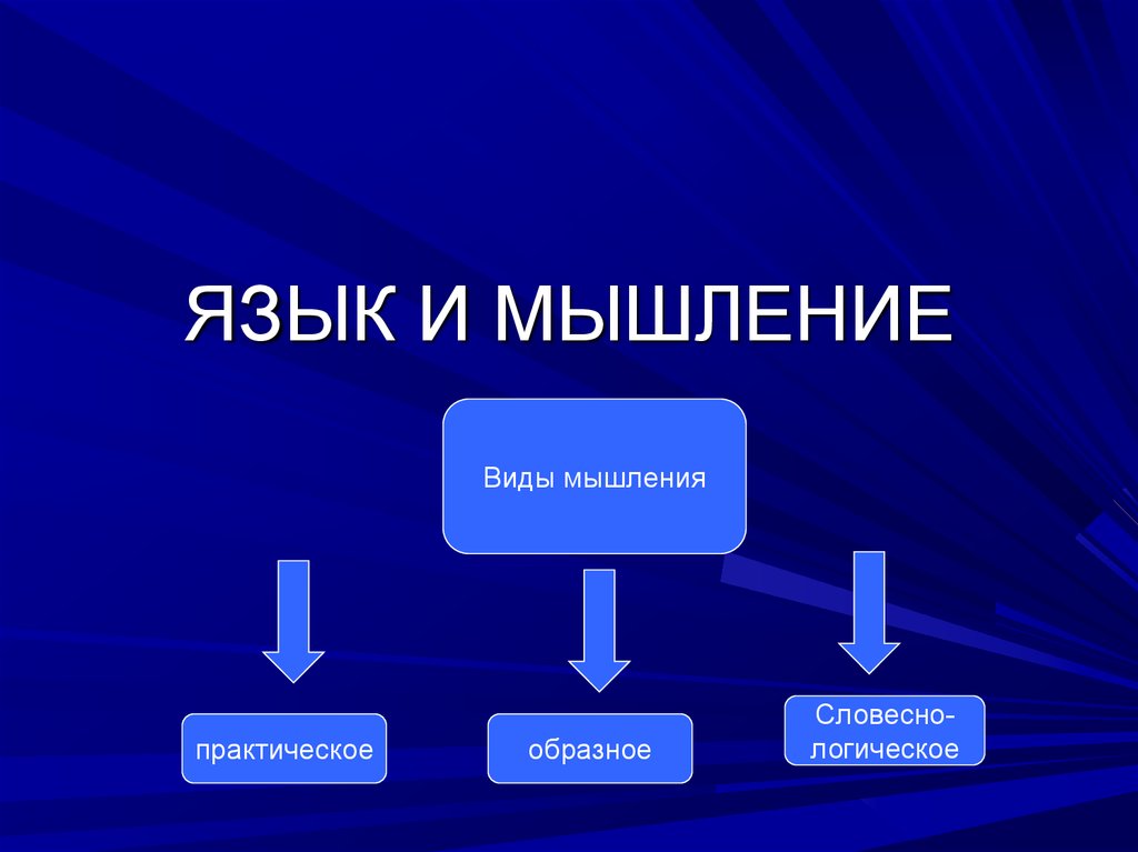 Системная лингвистики