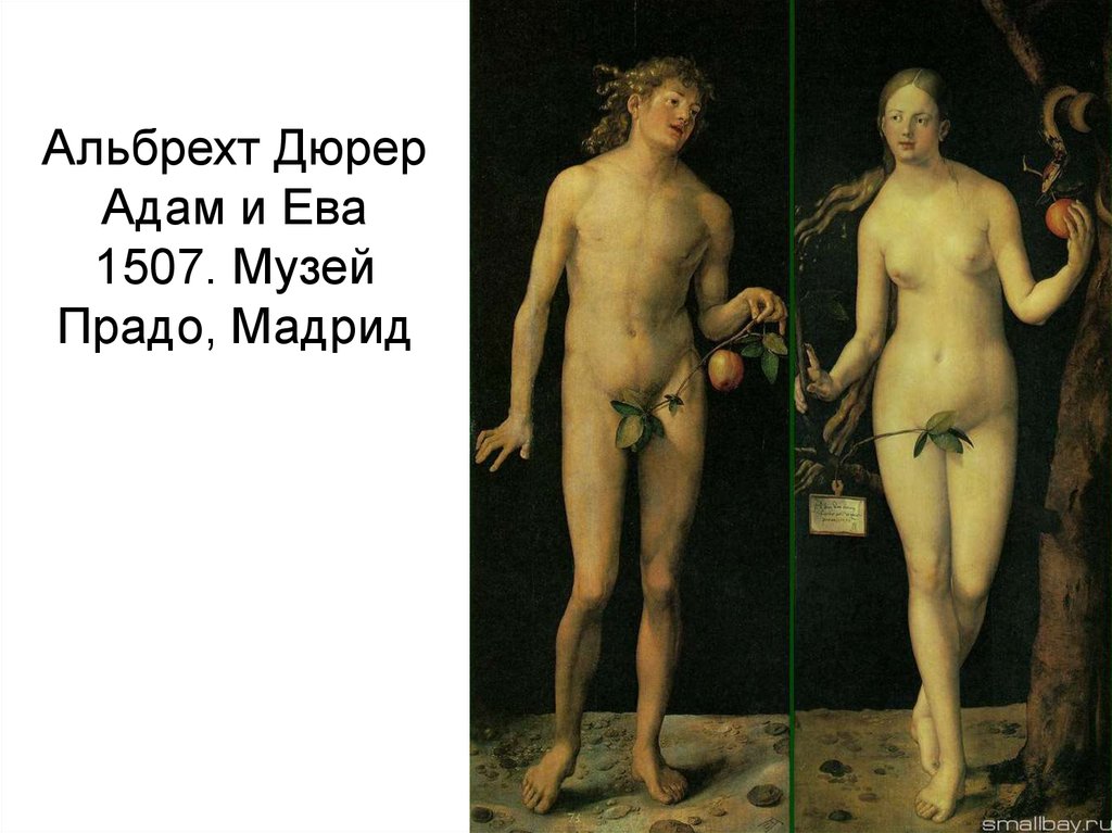Альбрехт Дюрер Адам и Ева 1507. Музей Прадо, Мадрид