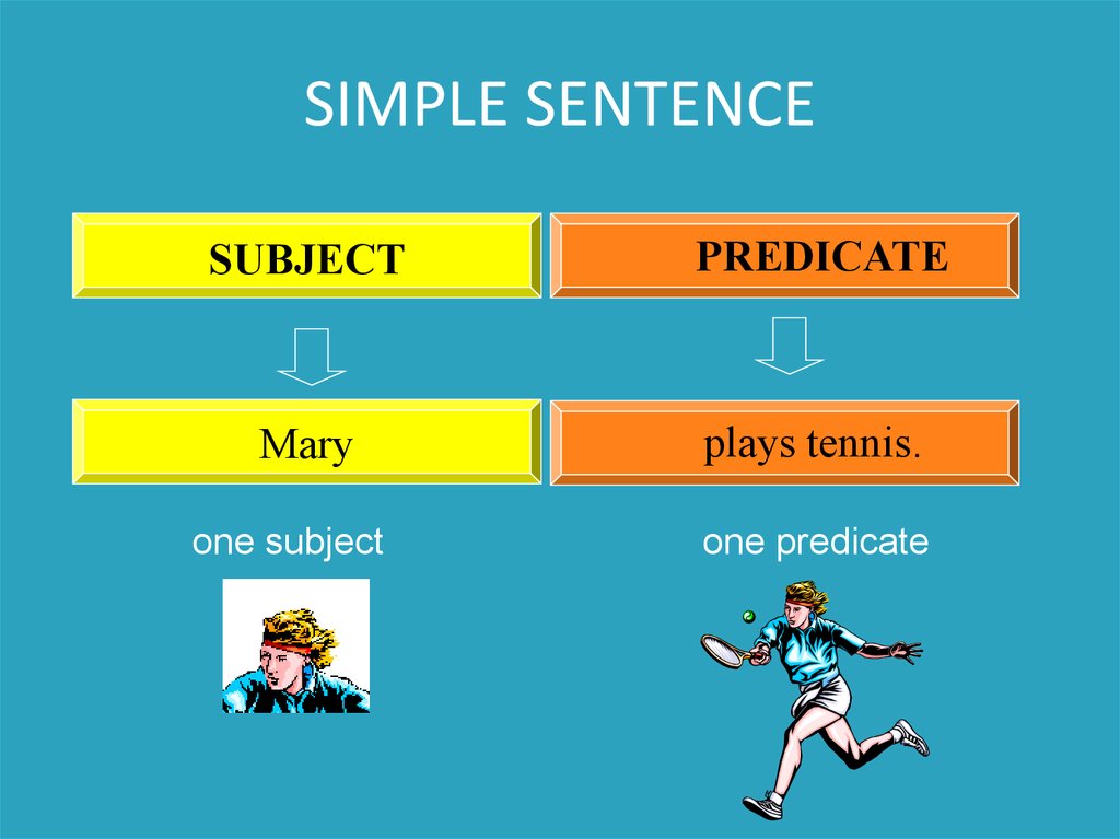 the-four-sentence-structures-teaching-sentences-teaching-sentence-structure-english-sentence