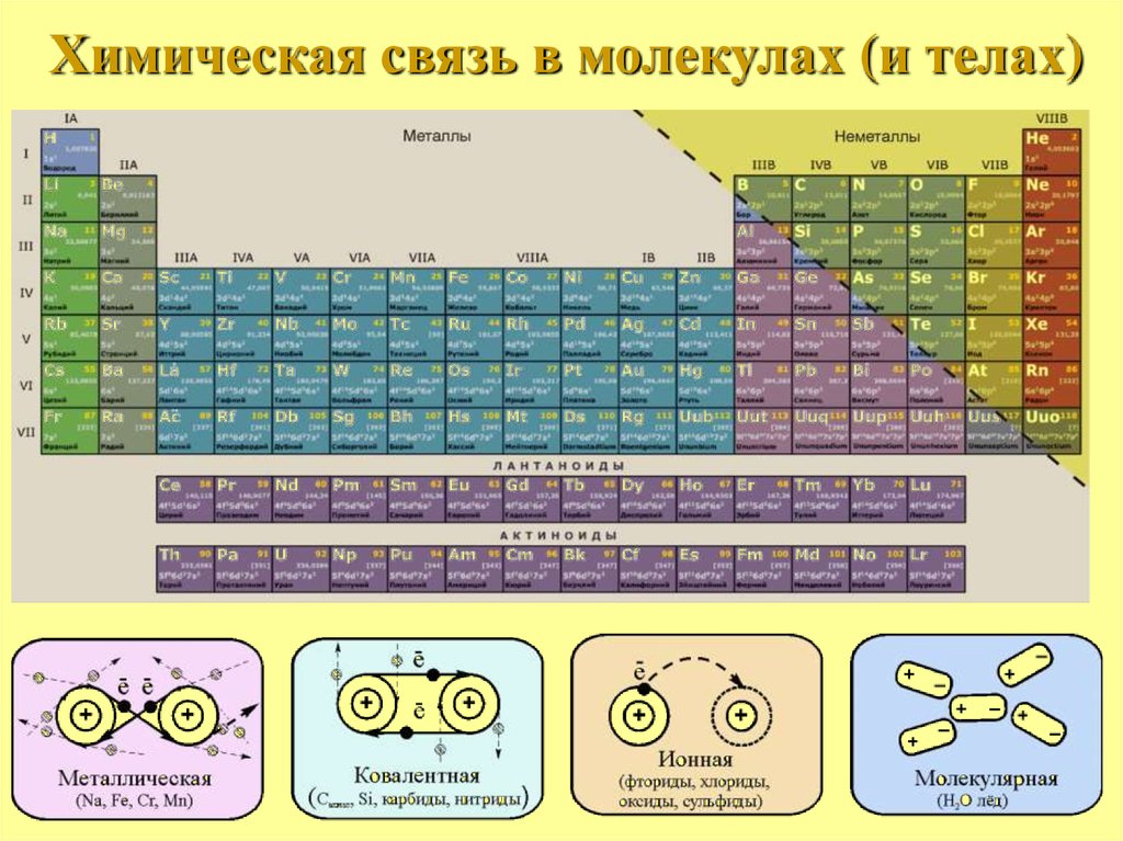 Развитие металлов