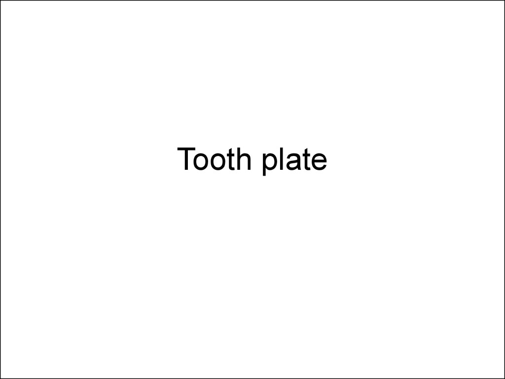 Tooth plate