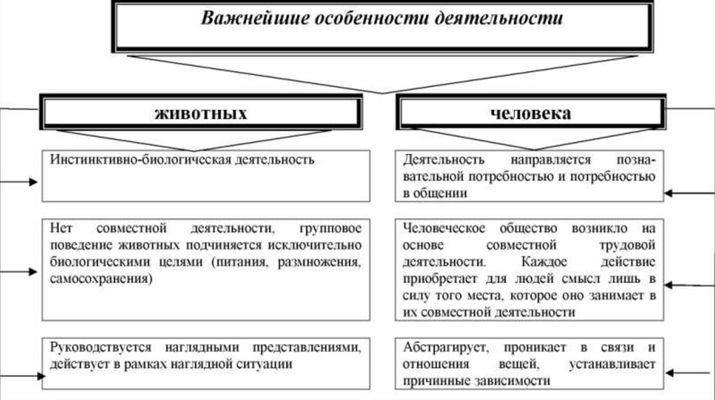 Презентация философия о происхождении и сущности человека