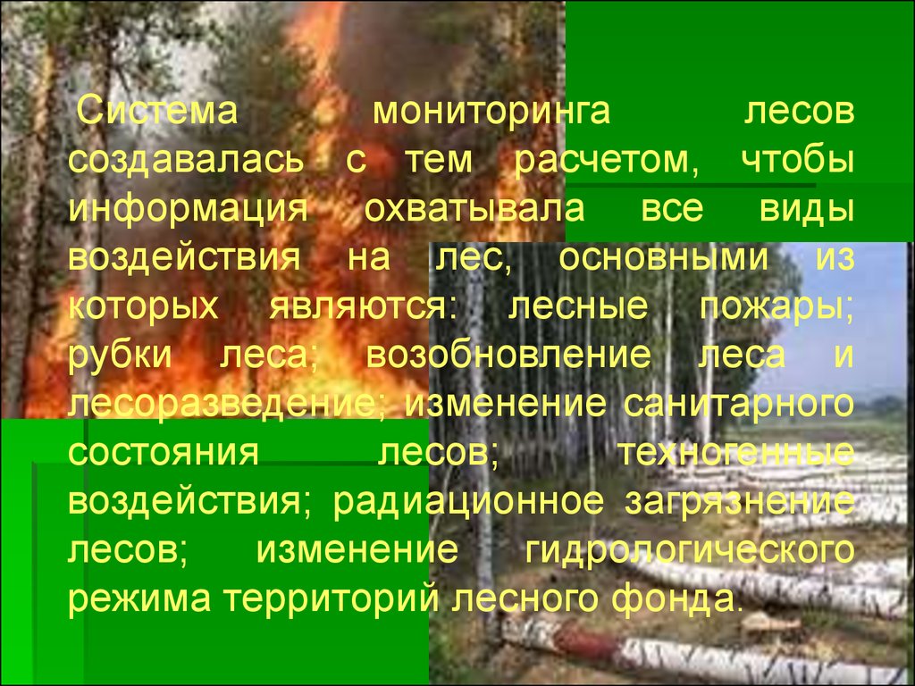 Виды лесного мониторинга. Лесной мониторинг презентация. Презентация тему Лесной мониторинг. Мониторинг+Лесной+возобновления+лесов. Изложение пожар на вырубке.