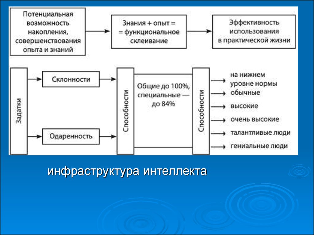 Структура интеллекта. Структура интеллекта в психологии схема. Инфраструктура интеллекта. Функциональный опыт это. Потенциальные способности.