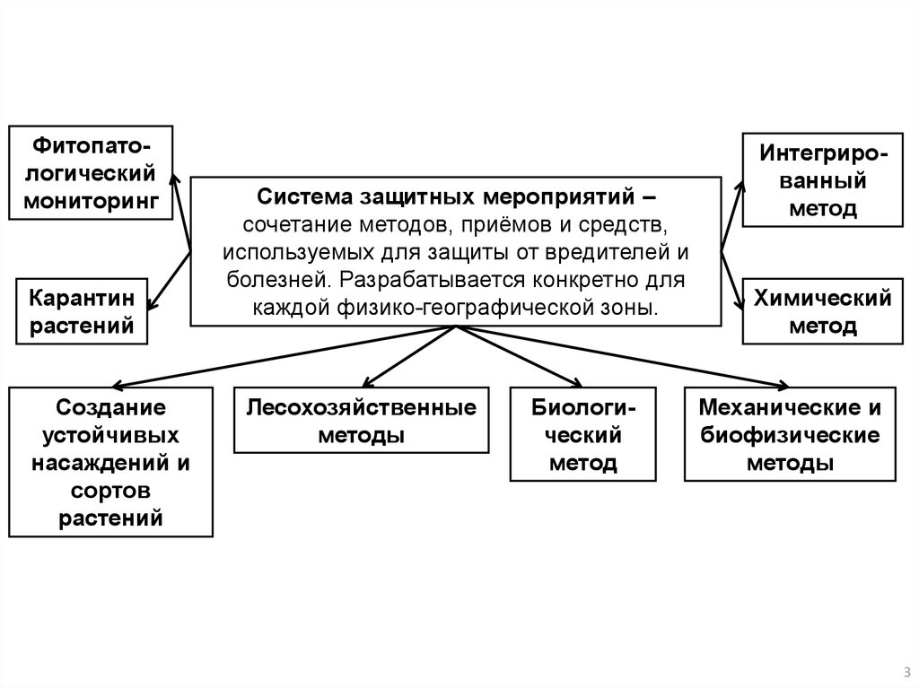 Продолжите схемы последствий человеческой деятельности вырубка леса избыточное орошение полей