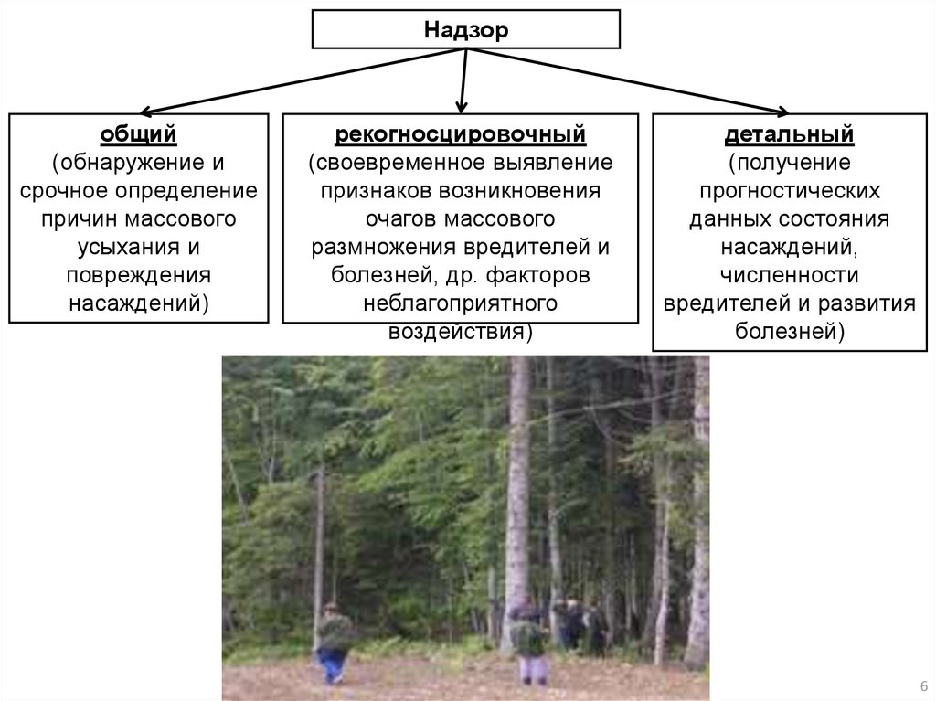 Леса защитные эксплуатационные резервные