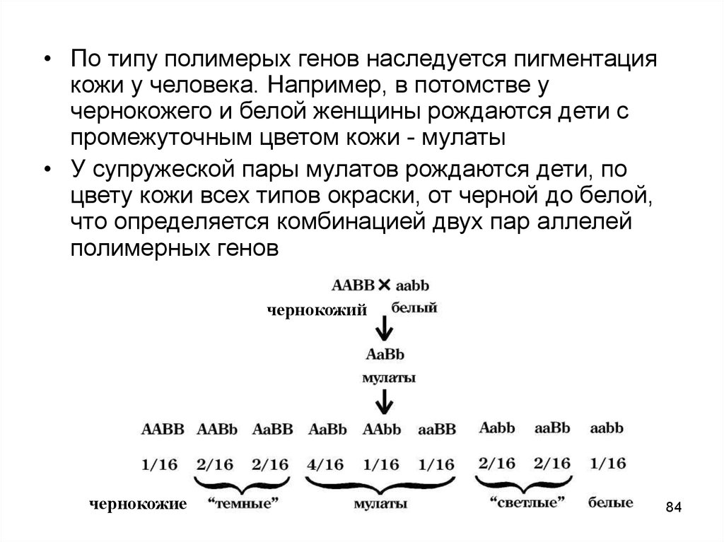 Женщинами рождаются это в генах. Наследование пигментации кожи у человека. Наследование цвета кожи у человека. Цвет кожи у человека наследуется по типу. Цвет кожи гены.