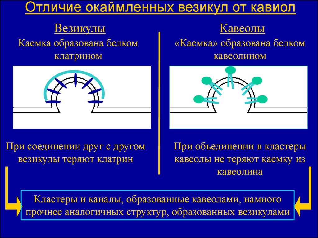 Механизмы изменений