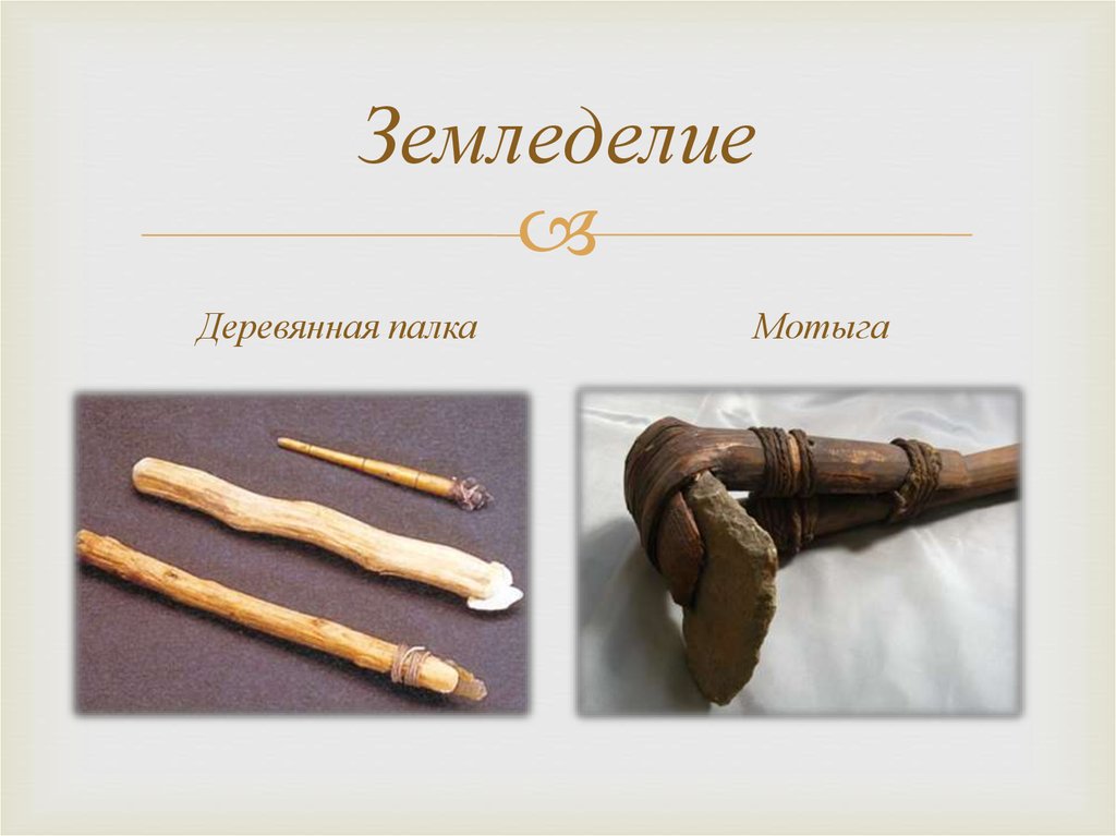 Земледелие