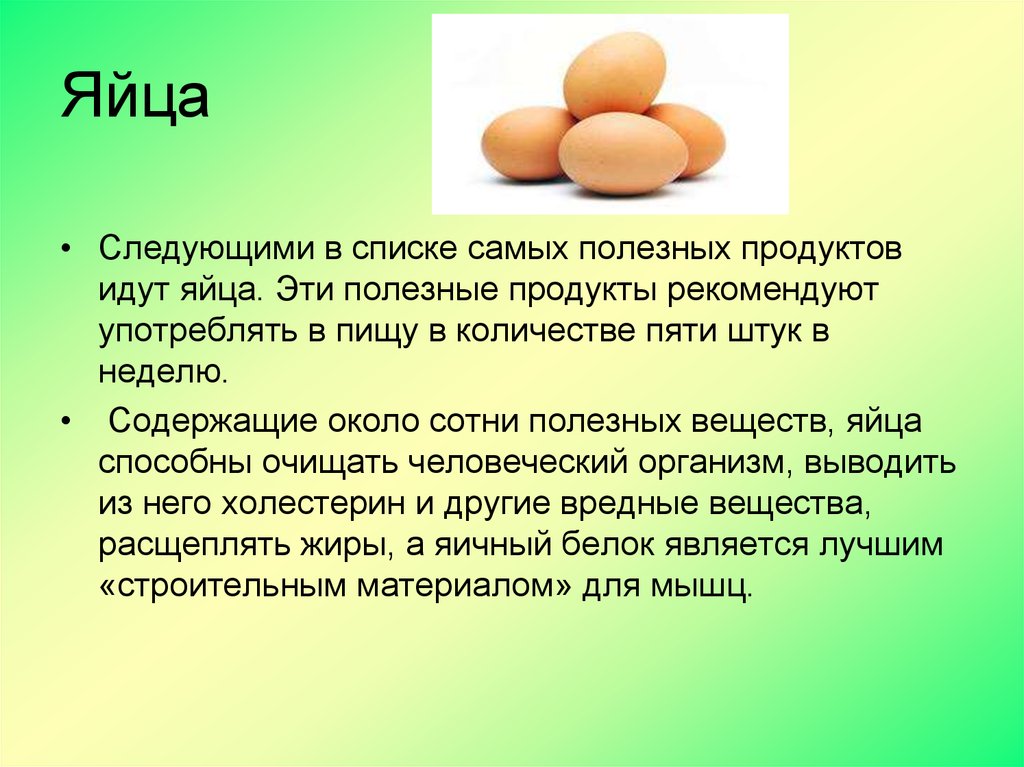 Питание яйца. Презентация на тему яйца продукты. Яйца и яичные продукты сообщение. Презентация яйца и яичные продукты. Информация о куриных яйцах.