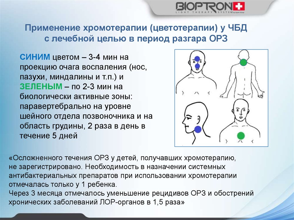 Команда чбд