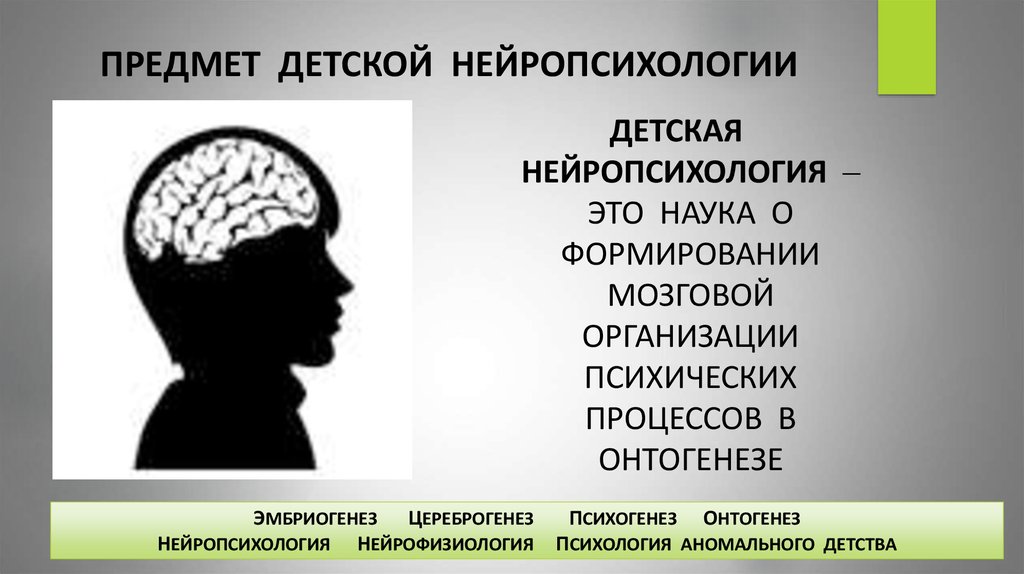 Почему зрение важнейшее формирование головного мозга. Концепции нейропсихологии. Презентация по нейропсихологии. Нейропсихология это наука. Детская нейропсихология.