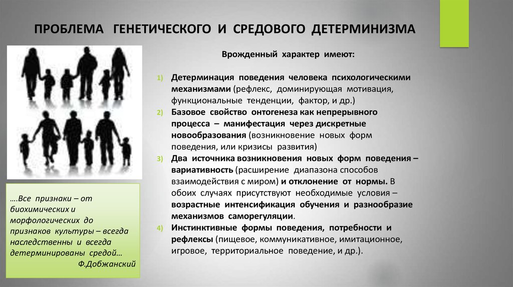 Стиль Повседневной Жизни Личности Определяется Основными Детерминантами