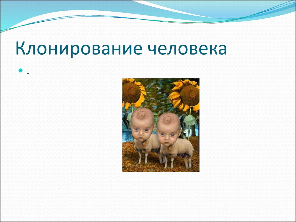 Клонирование. Клонирование человека. Клонирование в природе.