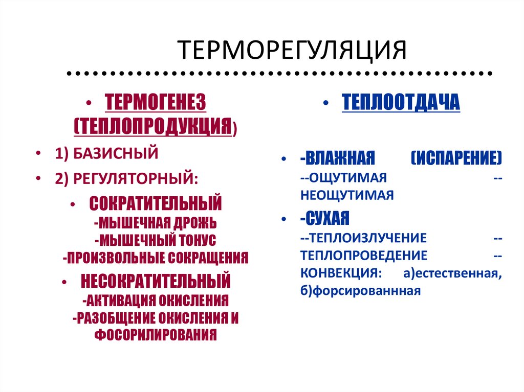 Механизм терморегуляции презентация