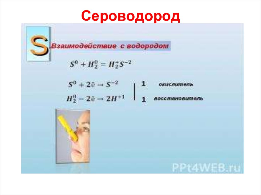 Реакция водорода с серой. Взаимодействие серы с водородом. Реакция взаимодействия водорода и серы. Сероводород и водород реакция.