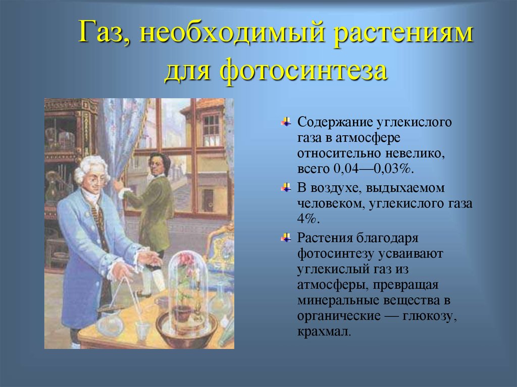 Газ необходим. ГАЗ необходимый для растений. Для чего нужен углекислый ГАЗ. Углекислый ГАЗ необходим растению для. Углекислый ГАЗ необходим растениям для чего.