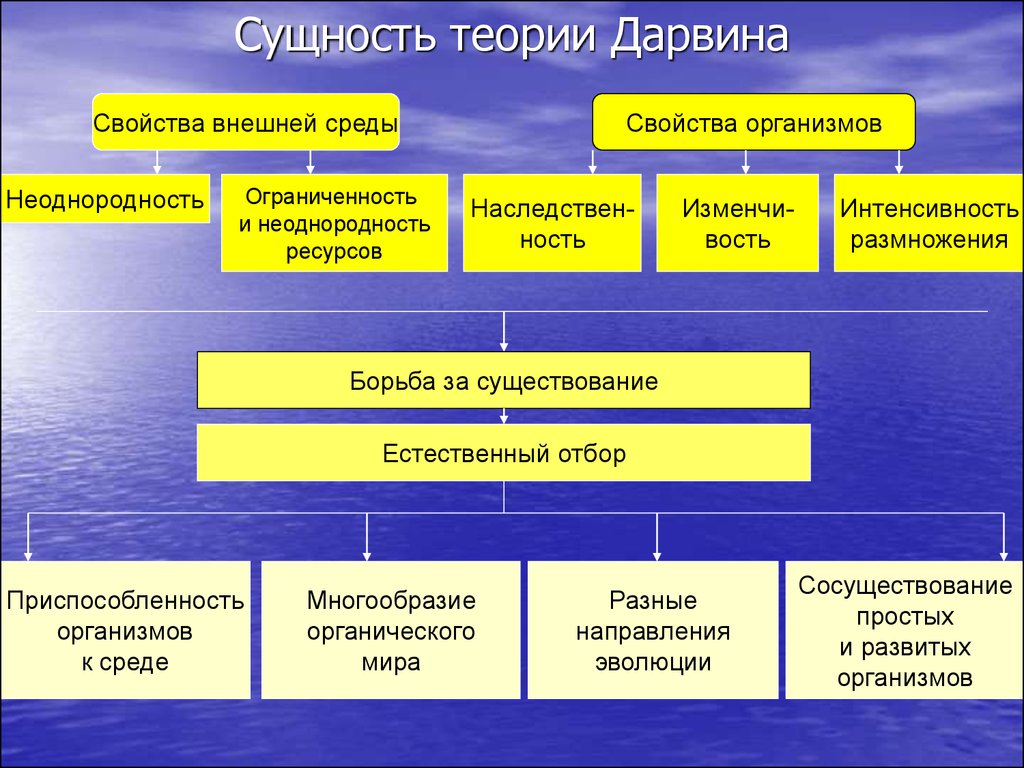 Оформите схему логическая структура дарвинизма живые организмы характеризуются жизненные ресурсы