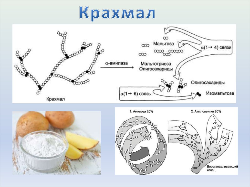 Изомальтоза