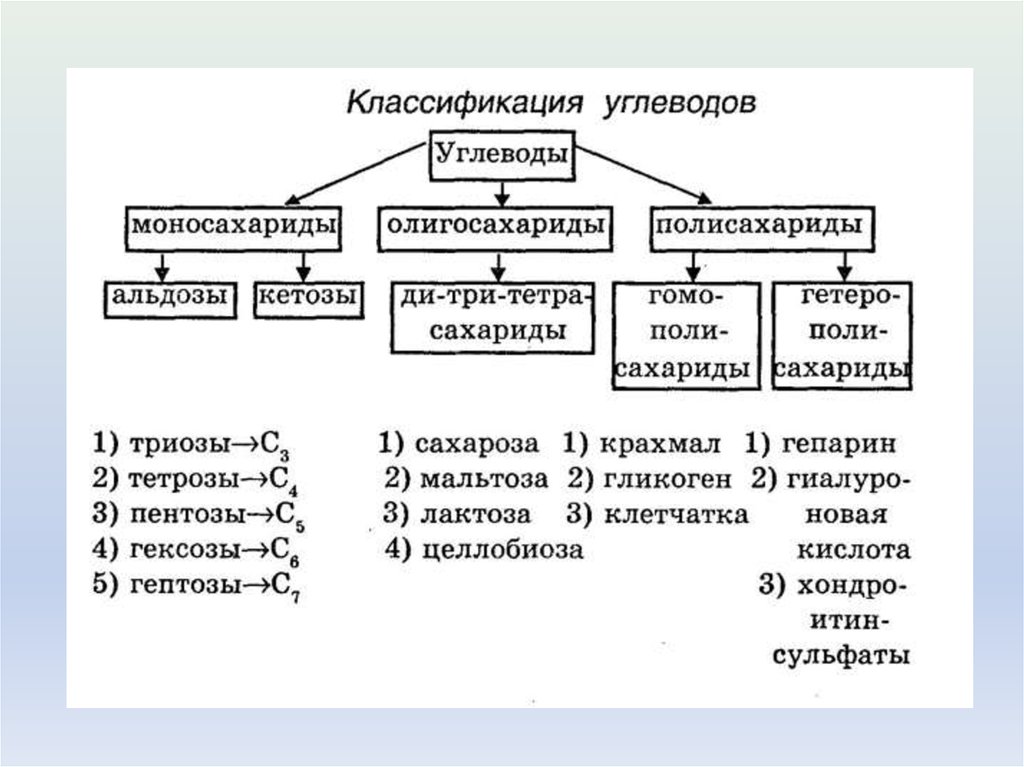 На основе текста параграфа и анализа иллюстраций составьте схему отражающую классификацию углеводов