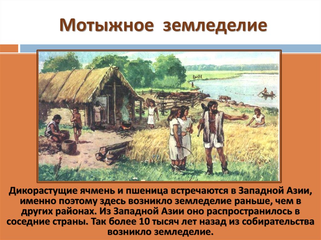 Появление хозяйства. Мотыжное земледелие. Загадки про земледелие. Земледелие и скотоводство возникли в Западной. Земледелие раньше появилось в.